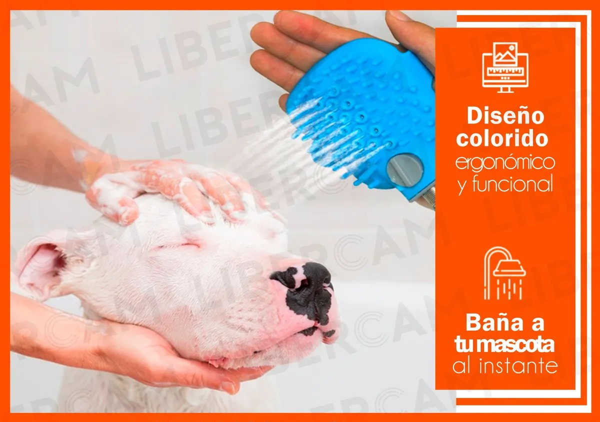 SplashPup