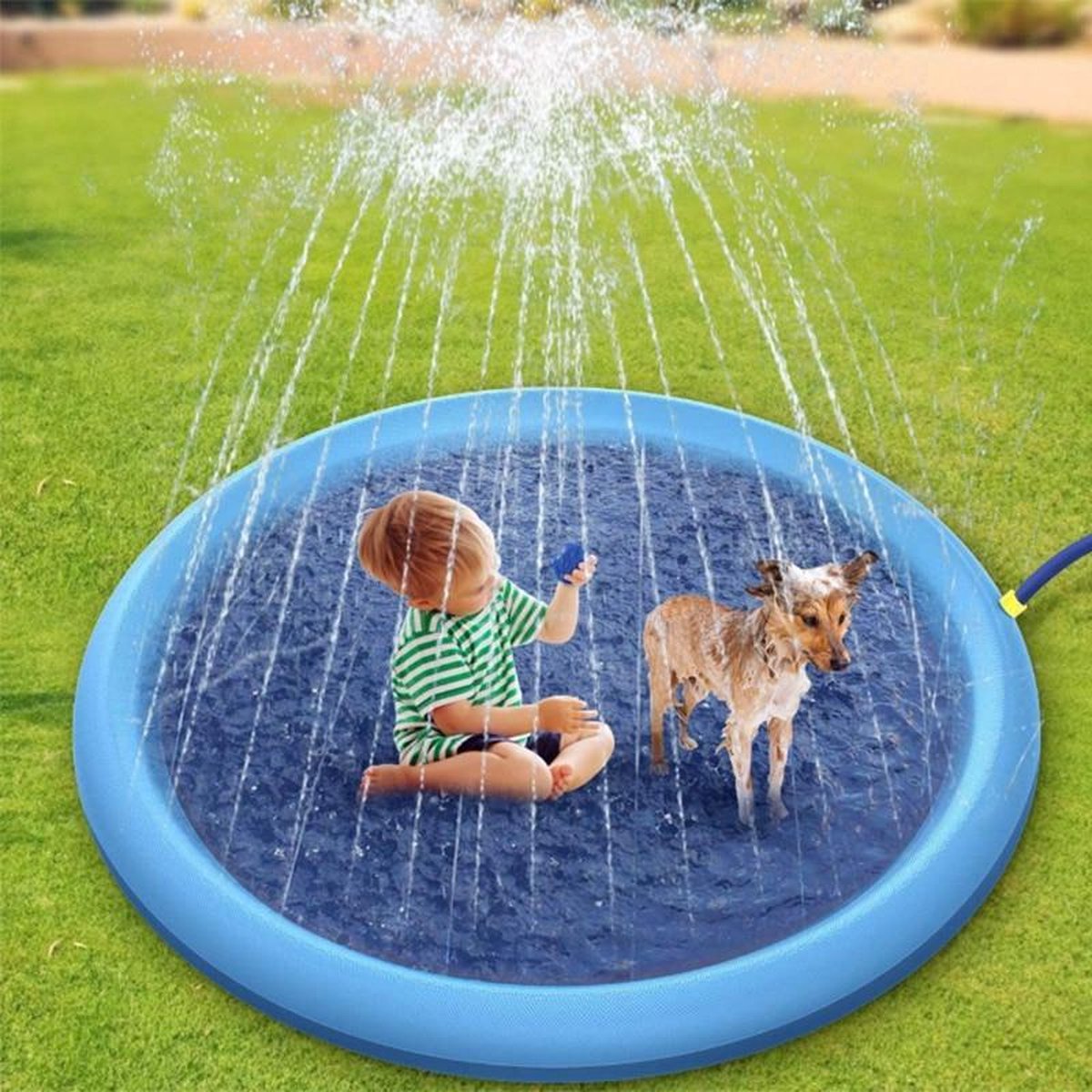 AquaPet Pad