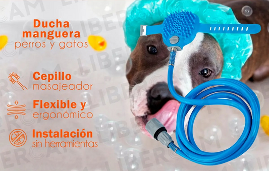 SplashPup