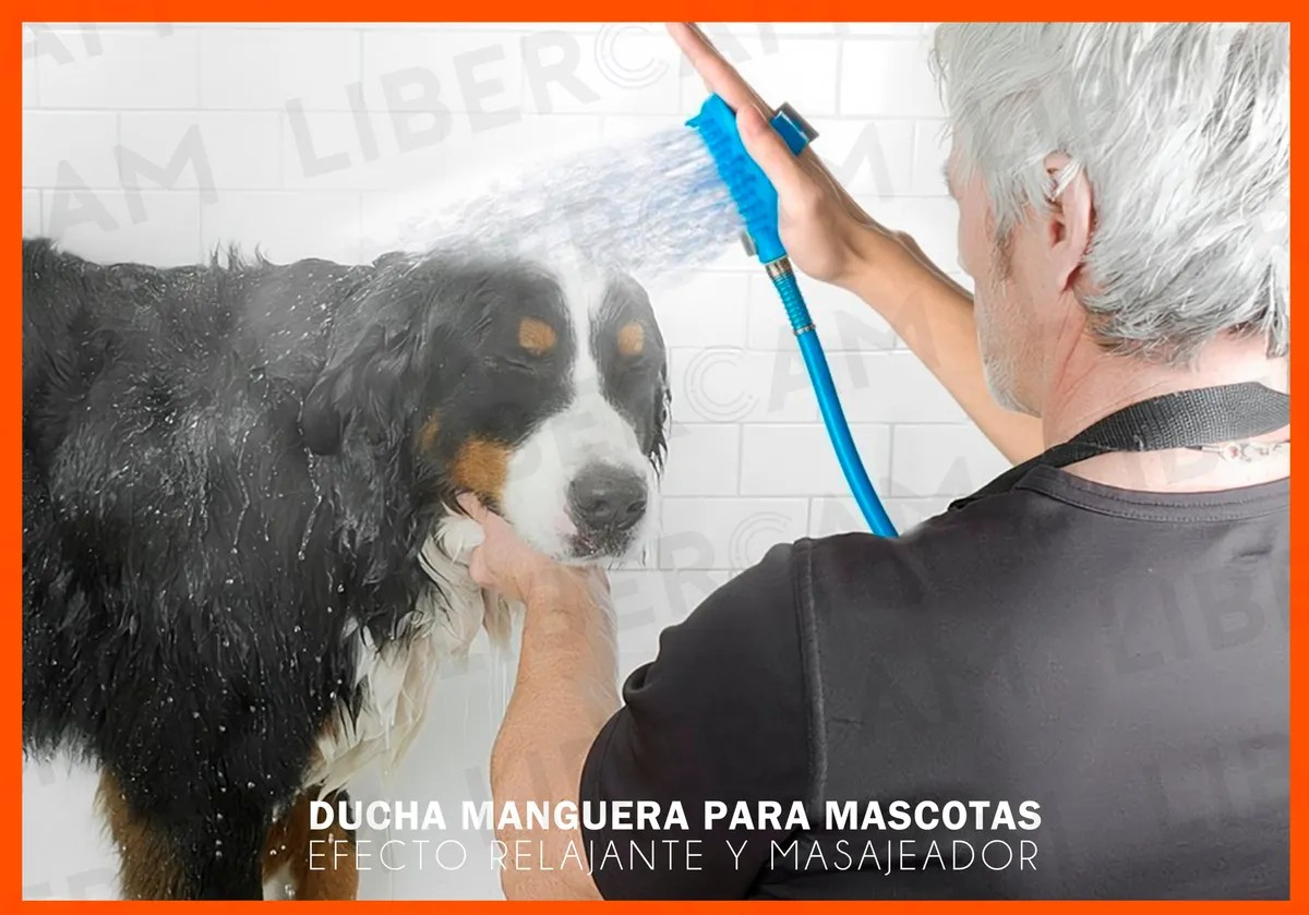 SplashPup